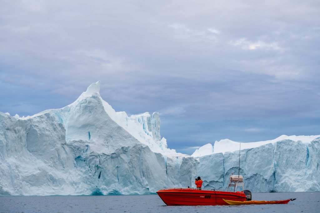 Frozen Fjord